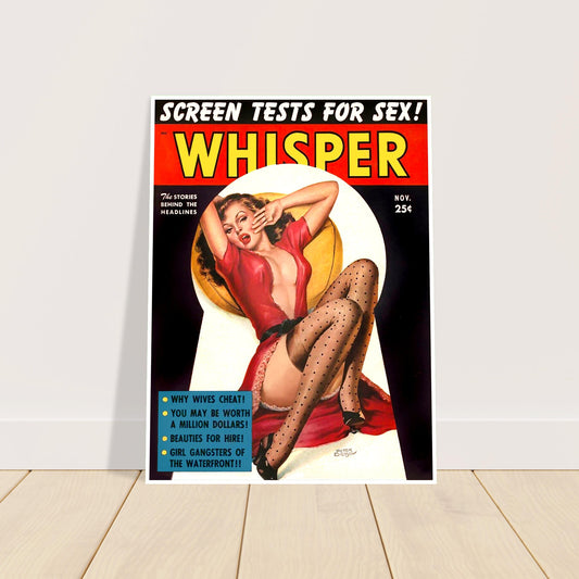 NOV 1952 VINTAGE PIN-UP COVER PETER DRIBEN ART POSTER 2