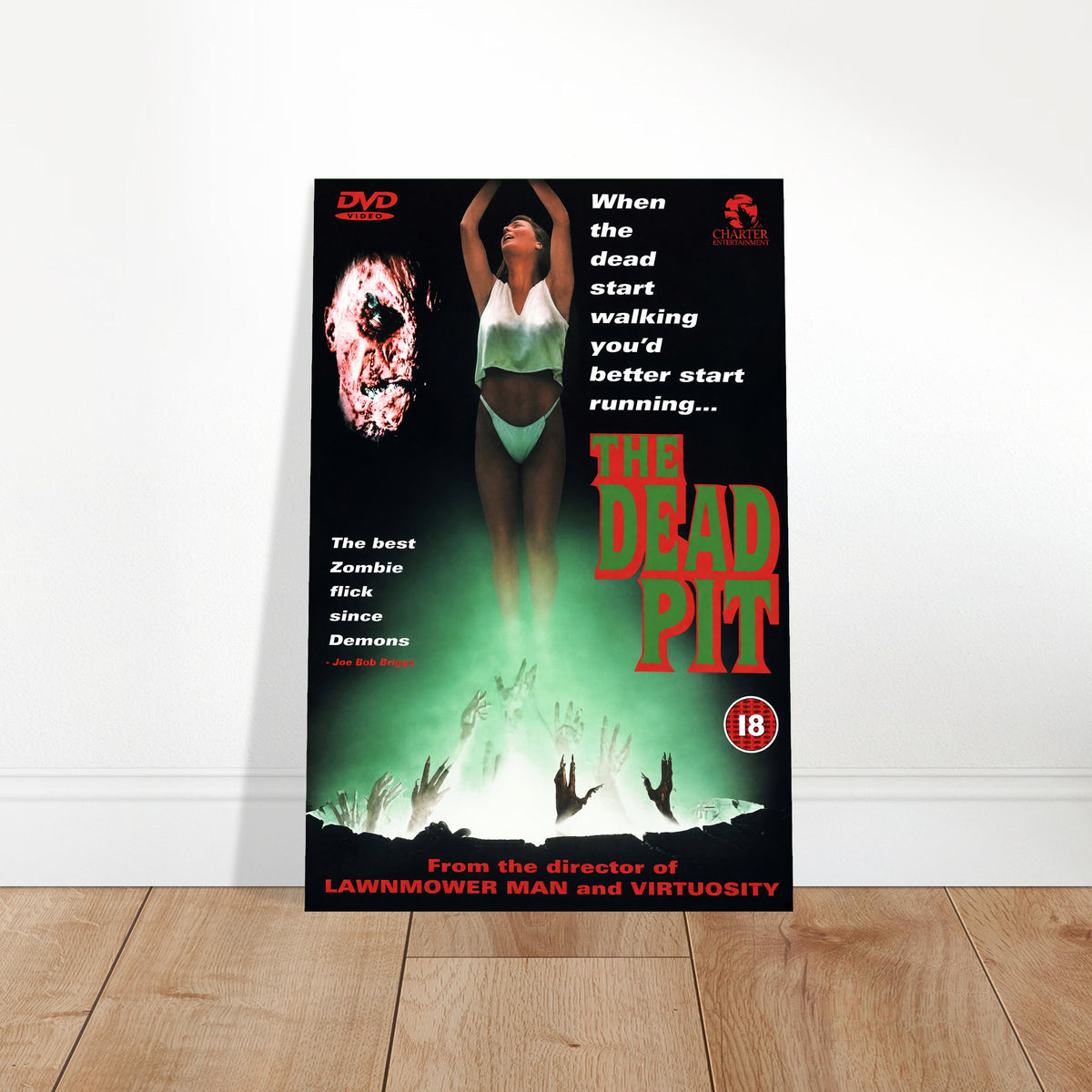 The Dead Pit 1989 Movie Poster – Zombie Horror Film Wall Art Decor 2