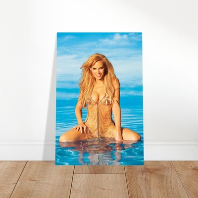 Playboy July 2008 Cover Poster – Cindy Margolis Magazine Cover Art 2