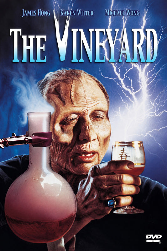 The Vineyard 1989 Movie Poster – James Hong Karen Witter Horror Wall Art Decor
