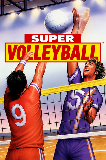 Super Volleyball Poster – Athletic Duo Sport Action Art Wall Art Decor