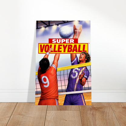 Super Volleyball Poster – Athletic Duo Sport Action Art Wall Art Decor 2