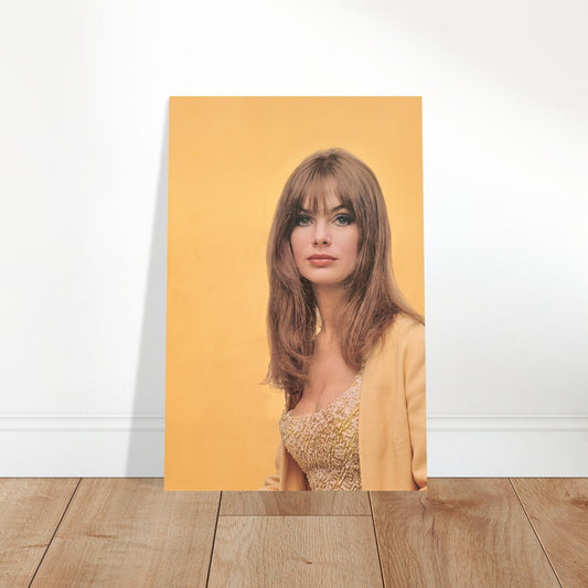 Portrait of Jean Shrimpton 1965 Fashion Poster – Iconic 60s Model 2