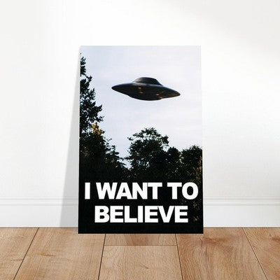 X-Files I Want to Believe UFO Sci-Fi TV Poster 1993 Wall Art Decor 2