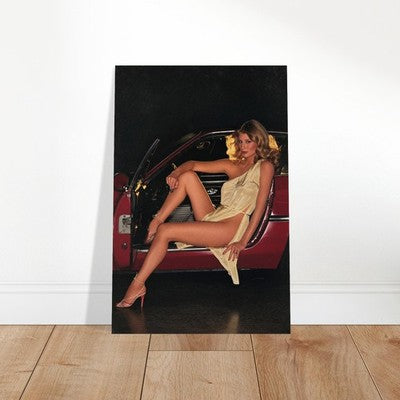 Debra Jensen Playboy March 1978 Cover Poster – Vintage Pin-Up 2