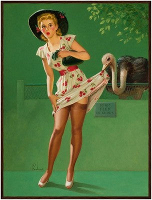 Art Frahm Ostrich Feathers (1951) - Framed Poster
