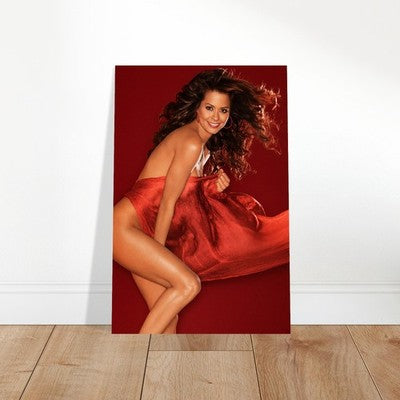 Brooke Burke Playboy Cover November 2004 Poster 2