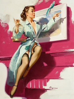 Pretty Cagey by Gil Elvgren (1953) Vintage Poster