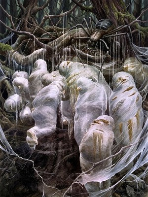 Flies and Spiders Lord of The Rings by Alan Lee (1997) Poster