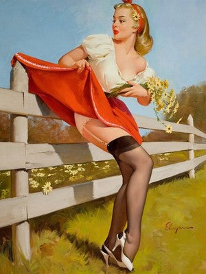 Gil Elvgren On the Fence (1959) Vintage Pin-Up Poster