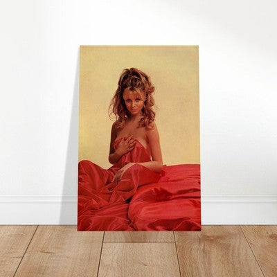 Phyllis Babila May 1970 Playboy Cover Poster – Iconic Pin-Up 2