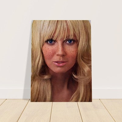 Debbie Hooper Playboy 1969 Poster – Classic Portrait 2
