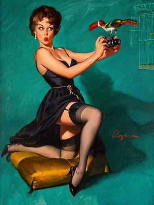 Gil Elvgren Ruffled Feathers (1967) Vintage Pin-Up Poster