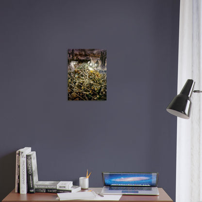 3cec14d1-371a-4fa1-b2f3-defa3071c573