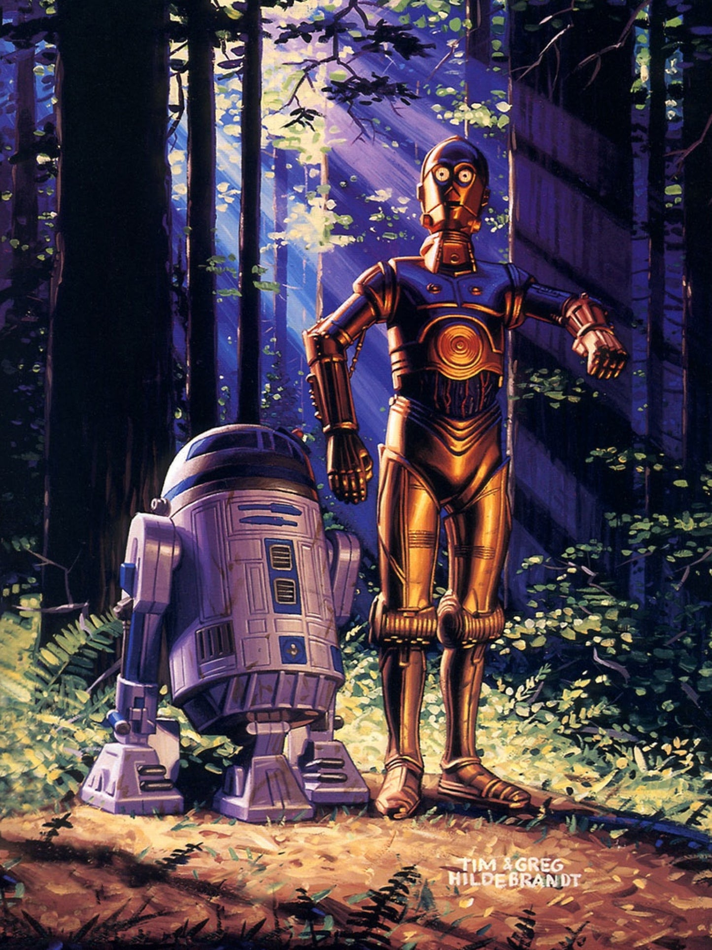 Greg & Tim Hildebrandt - C-3PO And R2-D2 Poster - Star Wars Fan Art - Forest of Endor Scene